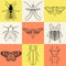 Insect icons set. Cicada and stag beetle, firefly and wasp, fly and paperkite butterfly, colorado beetle and mosquito,