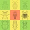 Insect icons set. dor-beetle and firefly, firebug and ant, fly and cockroach, colorado beetle and mosquito
