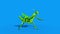 Insect Mantis Attacks Side Blue Screen Loop 3D Rendering Animation
