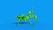 Insect Mantis Dies Side Blue Screen 3D Rendering Animation