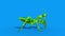 Insect Mantis Eats Side Blue Screen Loop 3D Rendering Animation