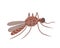 Insect mosquito. Vector Illustration for printing, backgrounds, covers, packaging, greeting cards, posters, stickers, textile and