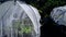 Insect nets for plant growth without being disturbed by insects.