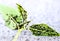 Insect pests, sour cherry leaf attacked by malicious insects