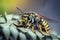 Insect on a plant with a blurry background of the insect\\\'s eyes and body and head. generative AI