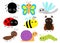 Insect set. Beetle, ladybug ladybird, dragonfly, ant, butterfly, green caterpillar, spider, honey bee, snail. Cute cartoon kawaii