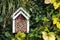 Insect shelter between garden plants