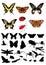 Insect silhouette& picture set