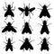 Insect silhouettes