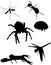 Insect Silhouettes