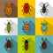 Insects beetles icons set, flat style