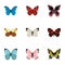 Insects butterflies icons set, flat style