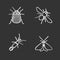 Insects chalk icons set
