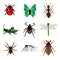 Insects collection set isolated animal white background