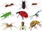 Insects collection vectors sets