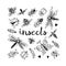 Insects doodle set