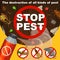 Insects extermination and pest control banner
