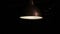 Insects flying around night lamp