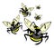 Insects flying draw