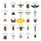 Insects icon flat style. 24 pieces in set. Colour version