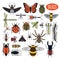 Insects icon flat style. 24 pieces in set. Colour version