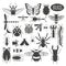 Insects icon flat style. 24 pieces in set. Colour version