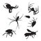 Insects icon set