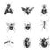 Insects icon set