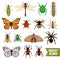 Insects Icons Set