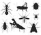 Insects large set ant grasshopper Ladybug mosquito cockroach collection on isolated vector Silhouettes