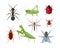 Insects. A large set with insects such as an ant, a grasshopper, a ladybug and a mosquito, a cockroach tick and also a