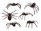 Insects realistic. Spider danger venom horror poisonous black symbols vector set