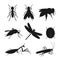 Insects silhouette vector set