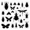 Insects silhouettes collection isolated on white background