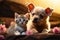 Inseparable pair French Bulldog puppy and cat create endearing moments