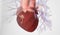 Insertion into the Pulmonary Artery