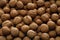 Inshell natural walnut background texture. Natural food in-shell nuts walnuts pattern backdrop Walnuts in shell