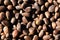 Inshell pine nuts. Cedar nuts. Background Texture. Macro.