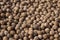 Inshell walnuts dried in the sun, background. Harvesting. Juglans regia, the Persian walnut, English walnut, Carpathian walnut,