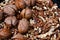 Inshell walnuts and peeled