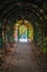 Inside arch with autumnal time lianes and lanterns