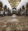 Inside basilic otranto, with floor mosaic made by pantaleone desc