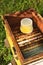 Inside of beehive container with sweet syrup for feeding bees