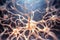 Inside the brain and human body, Concept of neurons and nervous system, Human nerverti cale cell