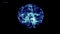 Inside the brain of neuron system blue