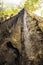 Inside of burned out giant sequoia tree looking up to blurred top and sun flare - shows extremely textured inside of hollow tree