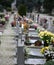 Inside a cemetery with many tombs and tombstones