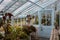 Inside Charles Darwin`s greenhouse at Down House, South London