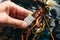 Inside details of the old personal computer. Cooler, motherboard, wires and video card in the dust. Man is holding cables in his