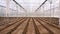 Inside of empty greenhouse on a sunny day for preparing the soil for sowing.